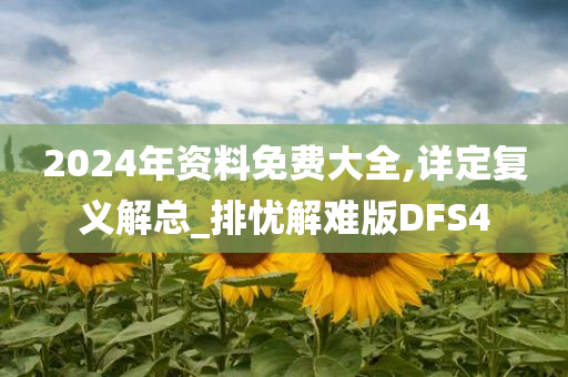 2024年资料免费大全,详定复义解总_排忧解难版DFS4