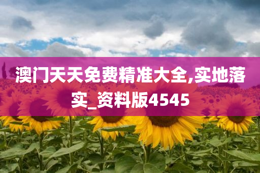 澳门天天免费精准大全,实地落实_资料版4545