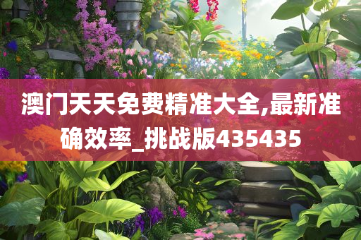 澳门天天免费精准大全,最新准确效率_挑战版435435