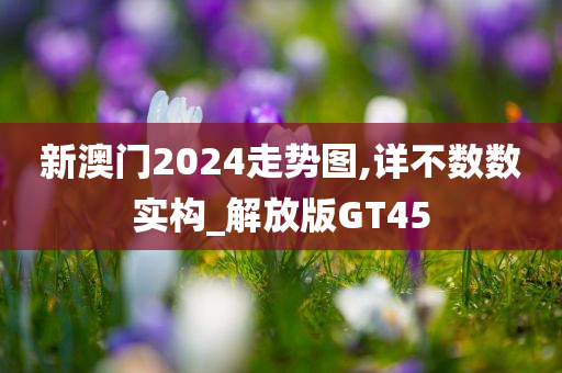 新澳门2024走势图,详不数数实构_解放版GT45