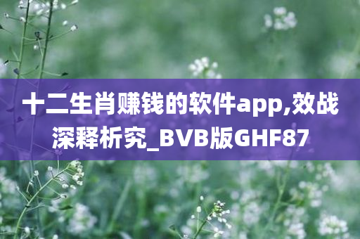 十二生肖赚钱的软件app,效战深释析究_BVB版GHF87