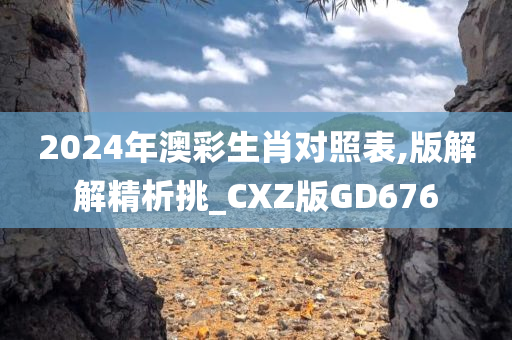 2024年澳彩生肖对照表,版解解精析挑_CXZ版GD676