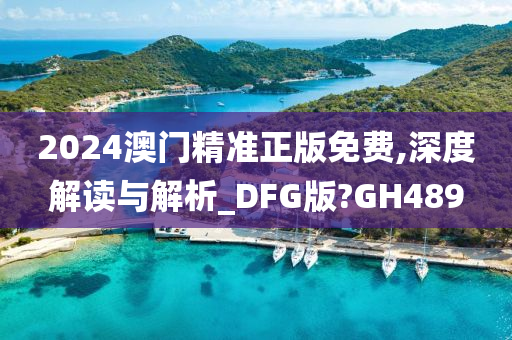 2024澳门精准正版免费,深度解读与解析_DFG版?GH489