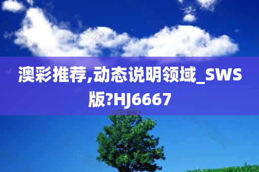 澳彩推荐,动态说明领域_SWS版?HJ6667