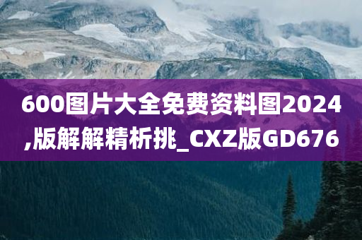 600图片大全免费资料图2024,版解解精析挑_CXZ版GD676