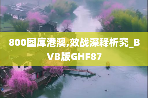 800图库港澳,效战深释析究_BVB版GHF87