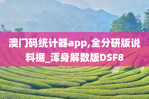 澳门码统计器app,全分研版说料据_浑身解数版DSF8