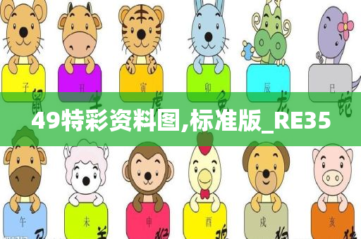 49特彩资料图,标准版_RE35