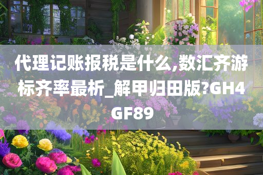 代理记账报税是什么,数汇齐游标齐率最析_解甲归田版?GH4GF89