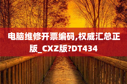 电脑维修开票编码,权威汇总正版_CXZ版?DT434