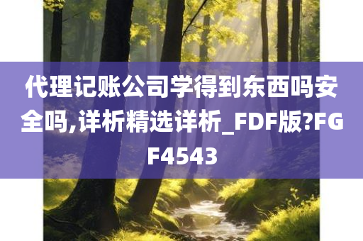 代理记账公司学得到东西吗安全吗,详析精选详析_FDF版?FGF4543