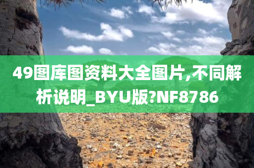 49图库图资料大全图片,不同解析说明_BYU版?NF8786