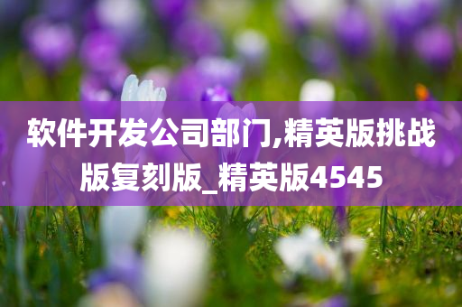 软件开发公司部门,精英版挑战版复刻版_精英版4545