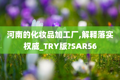 河南的化妆品加工厂,解释落实权威_TRY版?SAR56