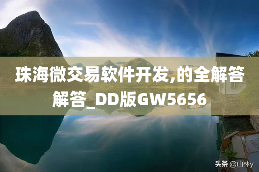 珠海微交易软件开发,的全解答解答_DD版GW5656