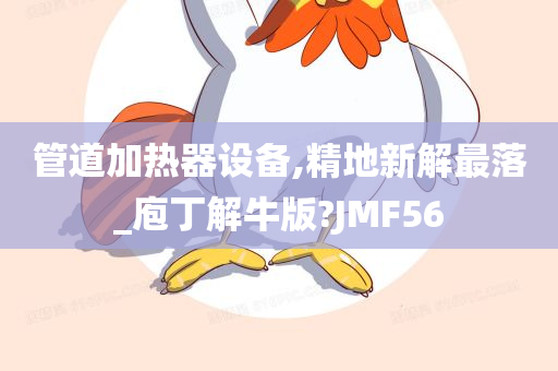 管道加热器设备,精地新解最落_庖丁解牛版?JMF56