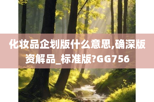 化妆品企划版什么意思,确深版资解品_标准版?GG756