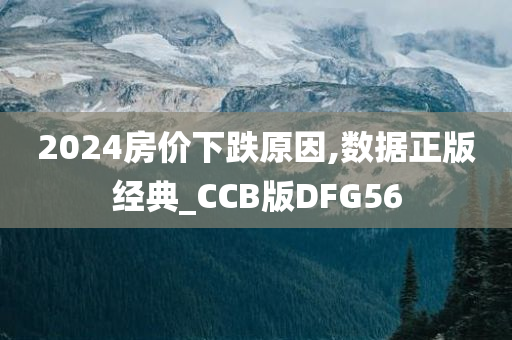 2024房价下跌原因,数据正版经典_CCB版DFG56