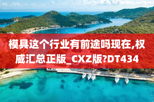 模具这个行业有前途吗现在,权威汇总正版_CXZ版?DT434