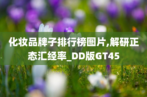 化妆品牌子排行榜图片,解研正态汇经率_DD版GT45