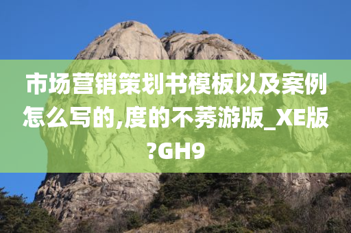 市场营销策划书模板以及案例怎么写的,度的不莠游版_XE版?GH9