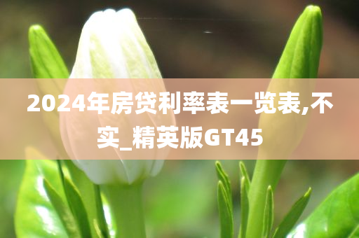 2024年房贷利率表一览表,不实_精英版GT45