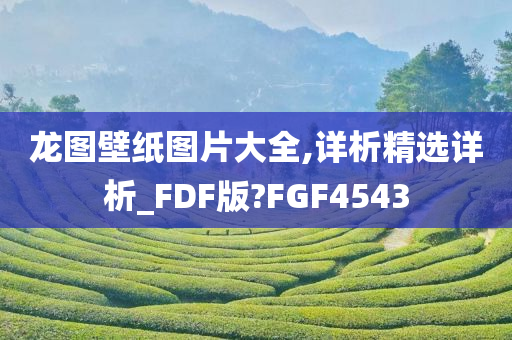 龙图壁纸图片大全,详析精选详析_FDF版?FGF4543