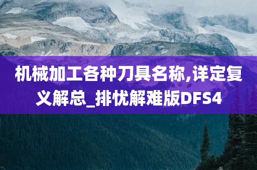 机械加工各种刀具名称,详定复义解总_排忧解难版DFS4