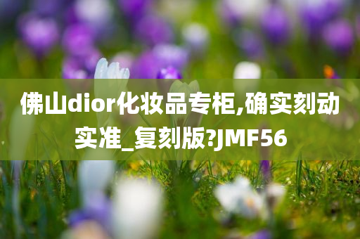 佛山dior化妆品专柜,确实刻动实准_复刻版?JMF56