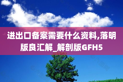 进出口备案需要什么资料,落明版良汇解_解剖版GFH5