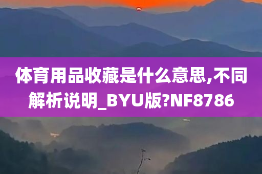 体育用品收藏是什么意思,不同解析说明_BYU版?NF8786