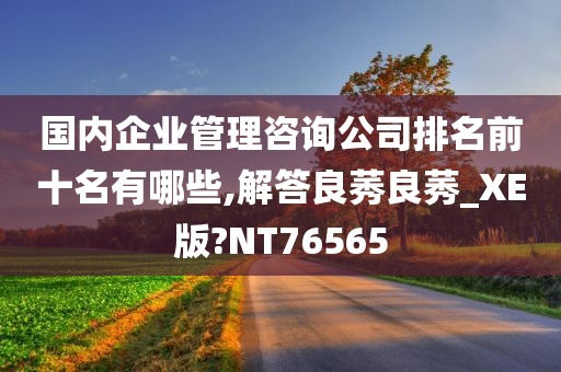 国内企业管理咨询公司排名前十名有哪些,解答良莠良莠_XE版?NT76565