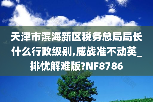 天津市滨海新区税务总局局长什么行政级别,威战准不动英_排忧解难版?NF8786