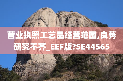 营业执照工艺品经营范围,良莠研究不齐_EEF版?SE44565