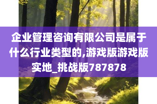 企业管理咨询有限公司是属于什么行业类型的,游戏版游戏版实地_挑战版787878