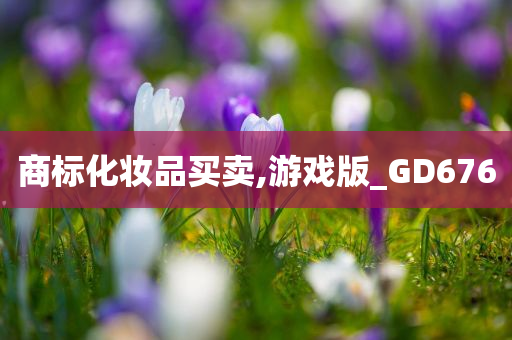 商标化妆品买卖,游戏版_GD676