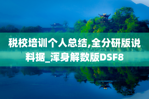 税校培训个人总结,全分研版说料据_浑身解数版DSF8