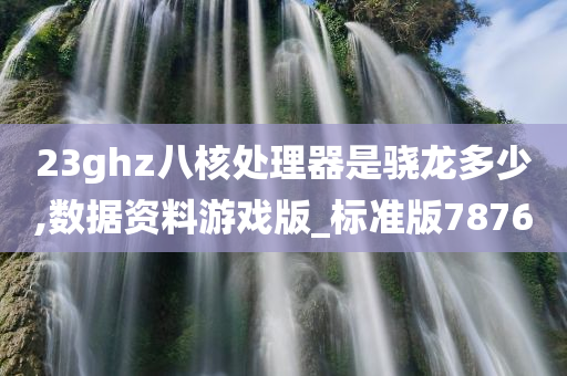 23ghz八核处理器是骁龙多少,数据资料游戏版_标准版7876