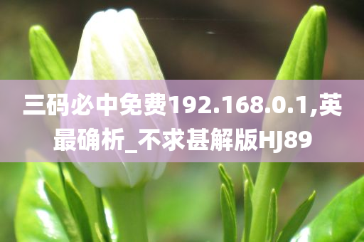 三码必中免费192.168.0.1,英最确析_不求甚解版HJ89