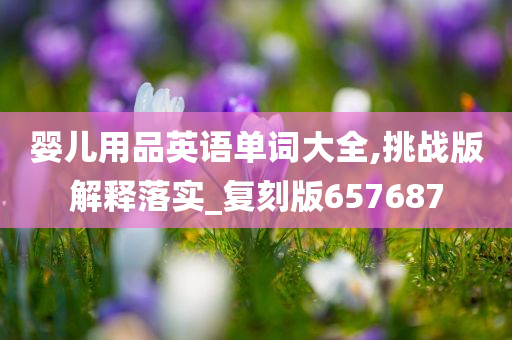 婴儿用品英语单词大全,挑战版解释落实_复刻版657687