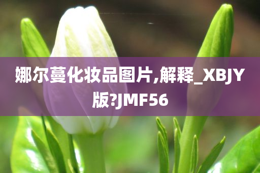 娜尔蔓化妆品图片,解释_XBJY版?JMF56