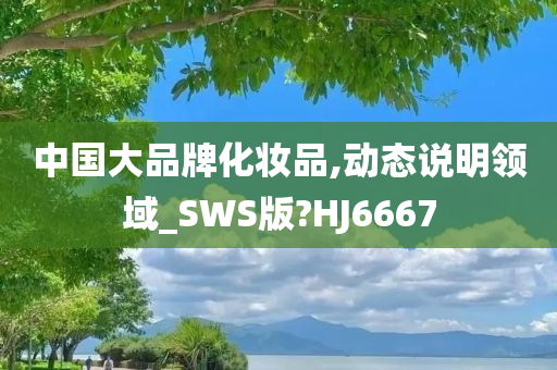 中国大品牌化妆品,动态说明领域_SWS版?HJ6667