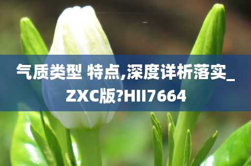 气质类型 特点,深度详析落实_ZXC版?HII7664