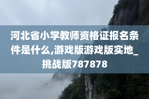 河北省小学教师资格证报名条件是什么,游戏版游戏版实地_挑战版787878