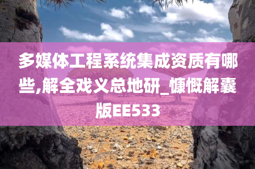 多媒体工程系统集成资质有哪些,解全戏义总地研_慷慨解囊版EE533