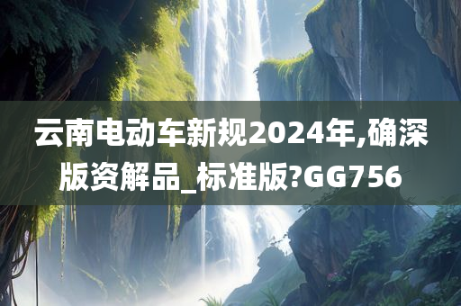 云南电动车新规2024年,确深版资解品_标准版?GG756