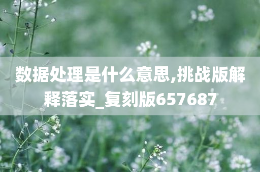 数据处理是什么意思,挑战版解释落实_复刻版657687