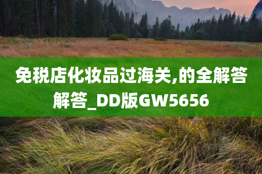 免税店化妆品过海关,的全解答解答_DD版GW5656