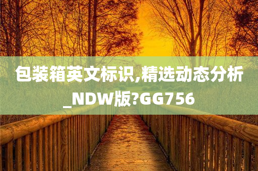 包装箱英文标识,精选动态分析_NDW版?GG756