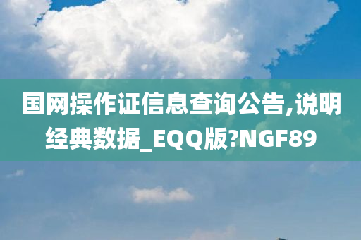 国网操作证信息查询公告,说明经典数据_EQQ版?NGF89